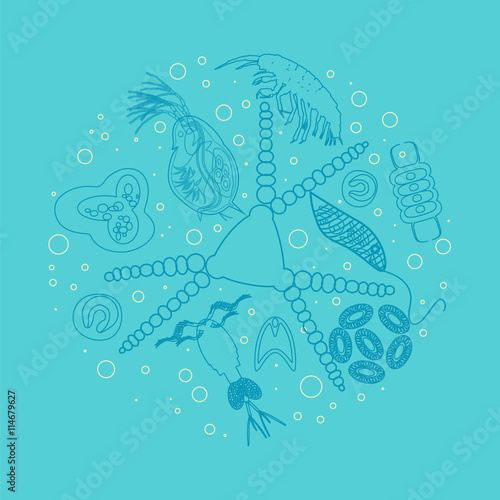 plankton phytoplankton zooplankton outline