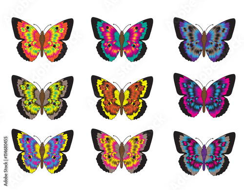 Set of multicolored butterflies on a white background  a collection of butterflies. Vector illustration