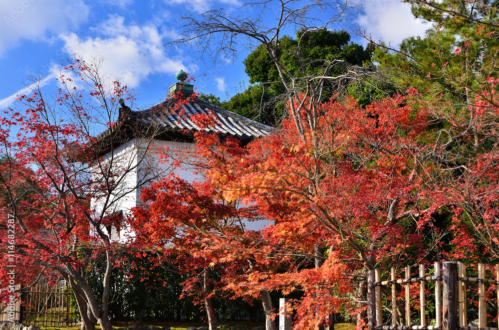 Red leaves and shrine, Arashiyama Kyoto Japan autumn. Red leaves and shrine, Arashiyama Kyoto Japan autumn.