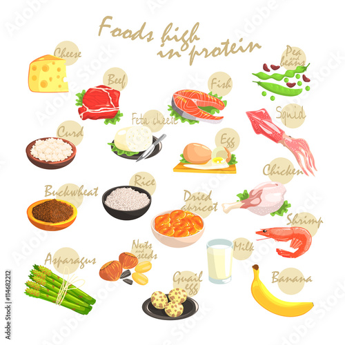 Food Rich In Proteins Poster