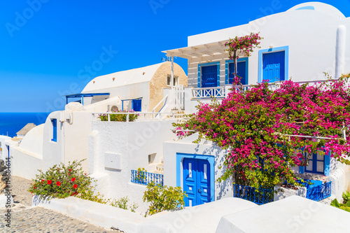 Typical houses decorated with flowers in Oia town on island of Santorini, Cyclades, Greece