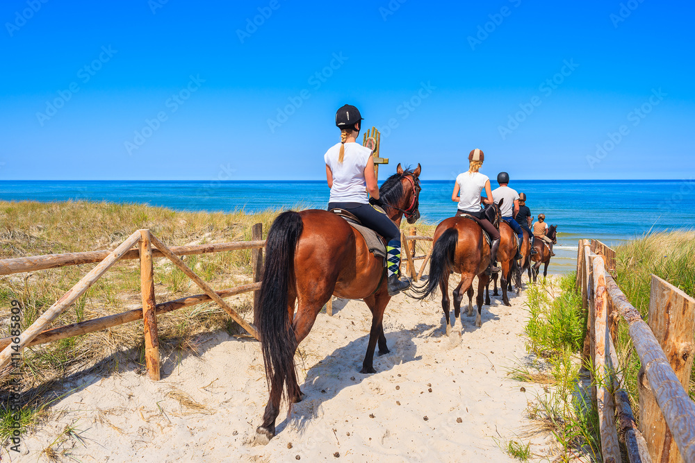 Fototapeta premium Young women riding horses to sandy beach in Lubiatowo coastal village, Baltic Sea, Poland