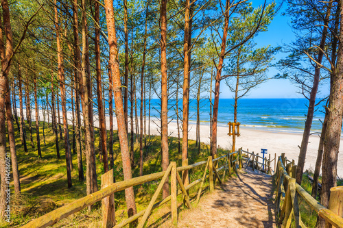 Fotografia Path in forest to beautiful beach in Lubiatowo coastal village, Baltic Sea, Pola