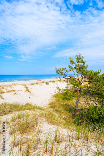 A view of beautiful sandy beach in Leba town, Baltic Sea, Poland