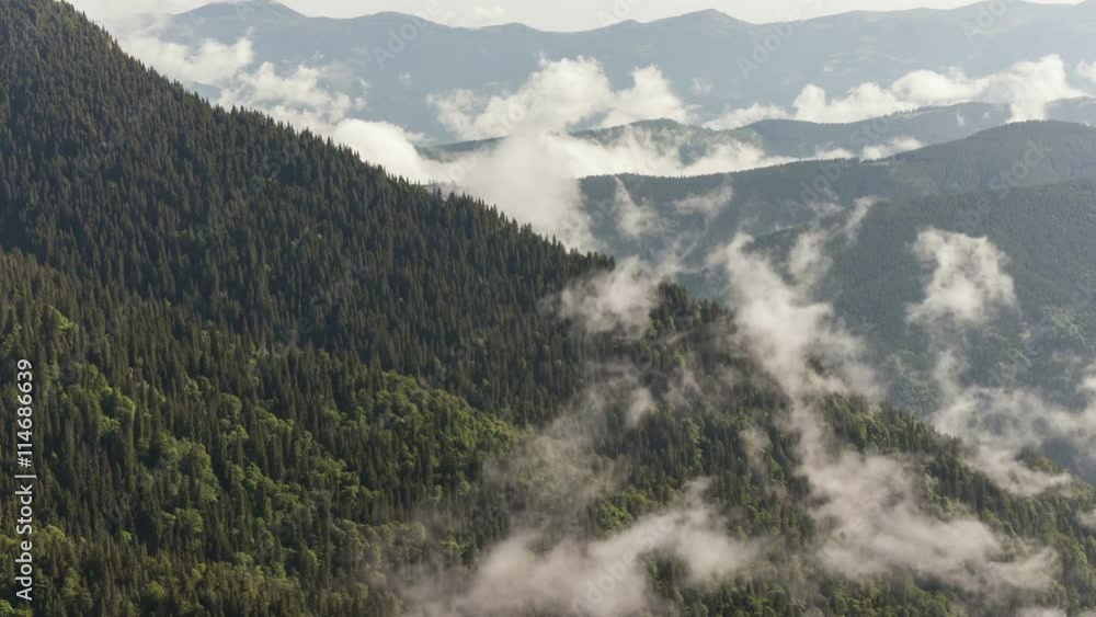 scenic view of mountain forests covering by fog scenic view of mountain forests covering by fog