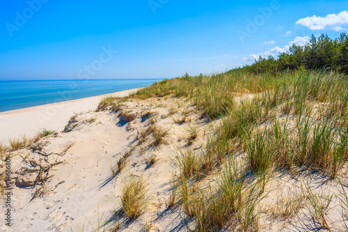 Fototapeta Naklejka Na Ścianę i Meble -  Grass on sand dune on beach in Lubiatowo coastal village, Baltic Sea, Poland