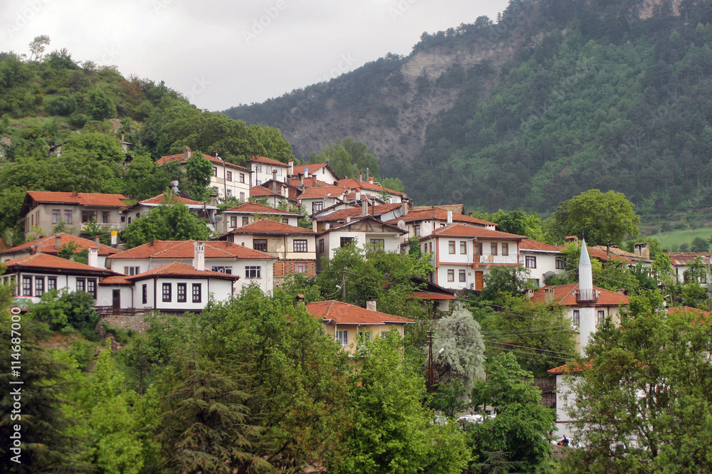 Obraz premium Goynuk Ottoman Homes in Bolu, Turkey