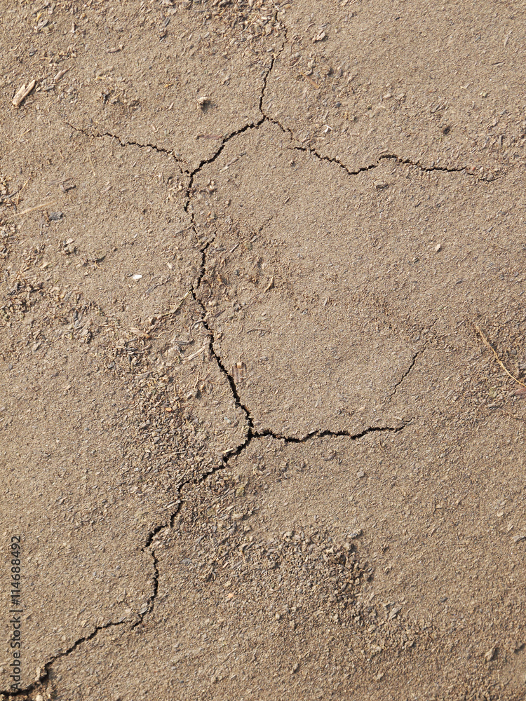 Fototapeta premium cracks in the ground