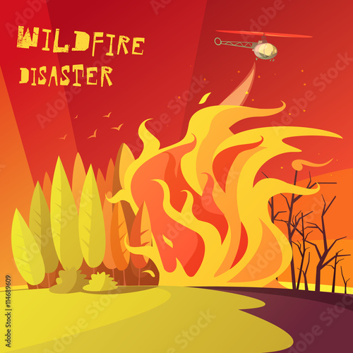 Wildfire Disaster Illustration