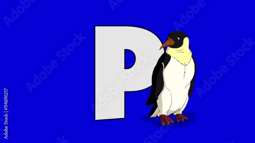 Letter P and Penguin (foreground)	Animated animal alphabet. Motion graphic with chroma key. Animal in a foreground of a letter. photo