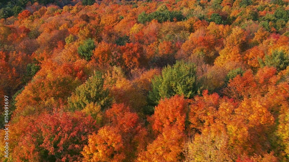 Slow flight across wooded hills in brilliant fall colors Slow flight across wooded hills in brilliant fall colors