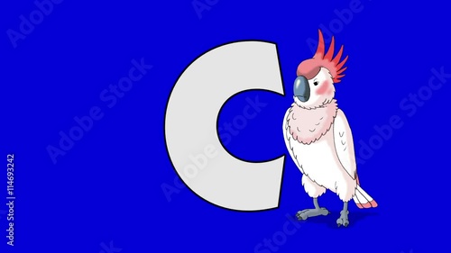 Letter C and Cockatoo (foreground)	Animated animal alphabet. Motion graphic with chroma key. Animal in a foreground of a letter. photo