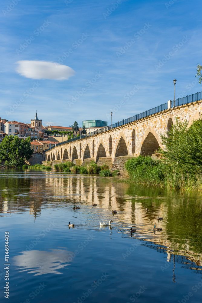 Stone bridge over Duero river. Zamora, Castilla y Leon, Spain.