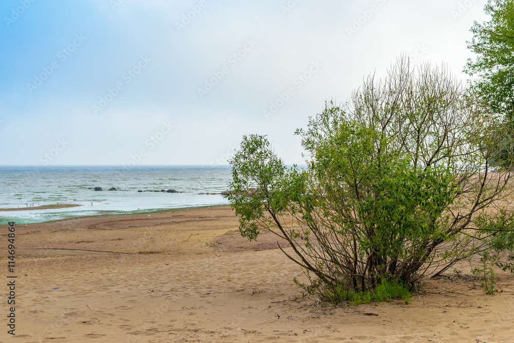The Baltic sea beach in Repino near St Petersburg, Russia The Baltic sea beach in Repino near St Petersburg, Russia