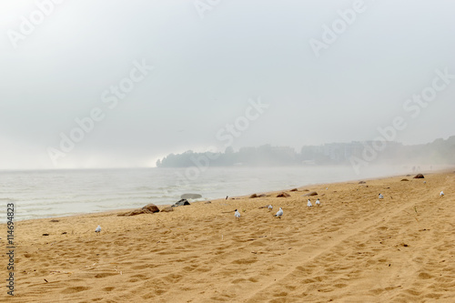 The Baltic sea beach in Repino near St Petersburg, Russia
