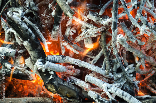 hot coals from the burnt wood 