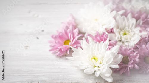 White and pink flowers on the white wooden background wide screen