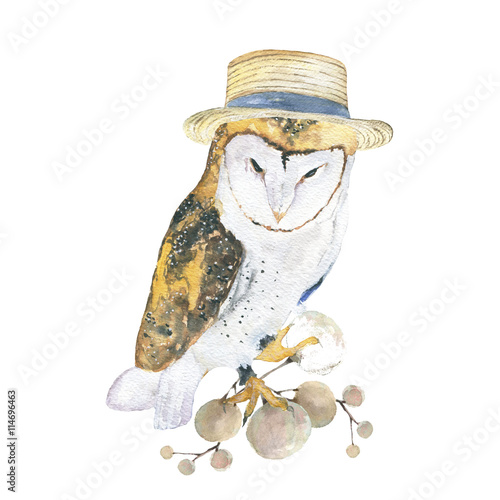 Fototapeta Naklejka Na Ścianę i Meble -  owl in a hat/owl watercolor painting with design elements