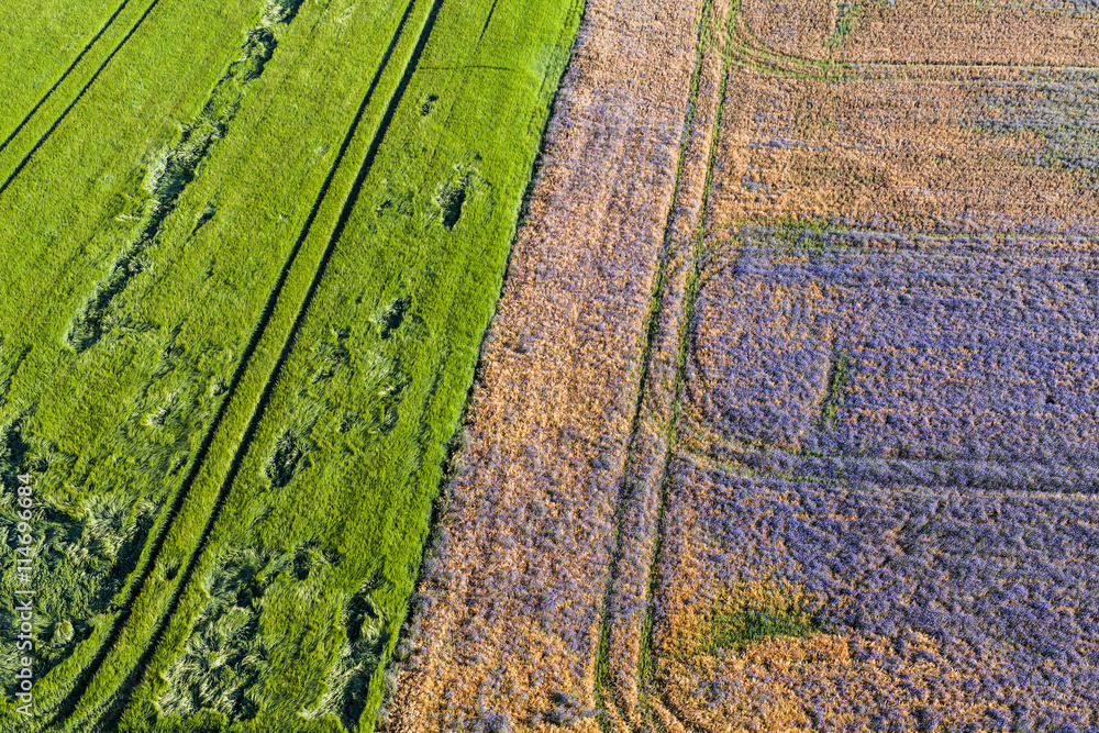 aerial view of the harvest fields morning landscape aerial view of the harvest fields morning landscape