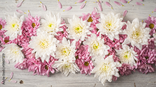 Composition of  white and pink flower on the white wooden table top view