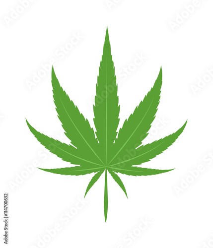 Cannabis marijuana leave eco design elements Leaf icon vector illustration friendly nature elegance symbol. Decoration marijuana leaf icon. Cannabis marijuana symbol green organic leave