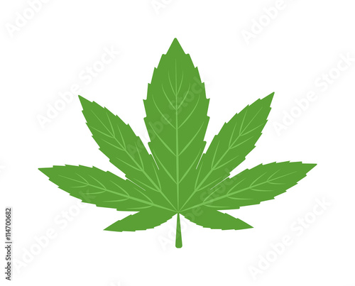 Cannabis marijuana hemp leaf flat icon vector green medicine weed vector herb. Addiction medical narcotic cannabis marijuana leaf. Nature symbol illegal hashish ganja cannabis marijuana leaf.