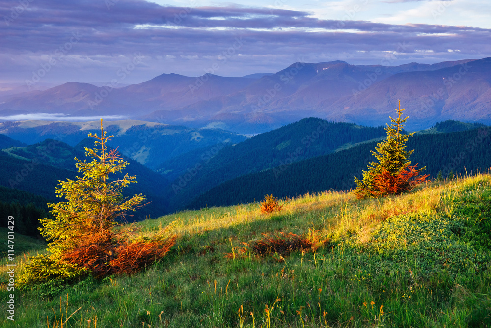 Fototapeta premium Fantastic sunset in the mountains of Ukraine.