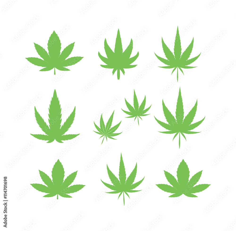 Cannabis marijuana leave eco design elements Leaf icon vector illustration friendly nature elegance symbol. Decoration marijuana leaf icon. Cannabis marijuana symbol green organic leave