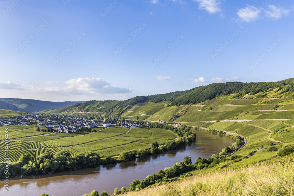 famous Moselle loop at Trittenheim