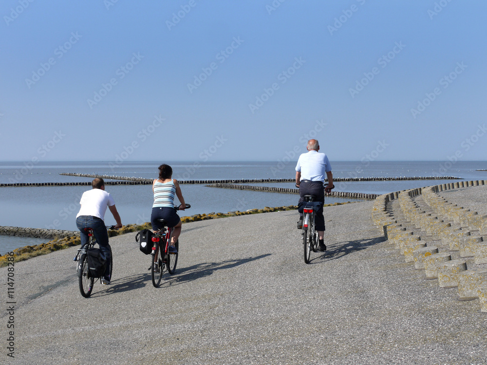 Obraz premium Radfahrer auf dem Deich am Dollart