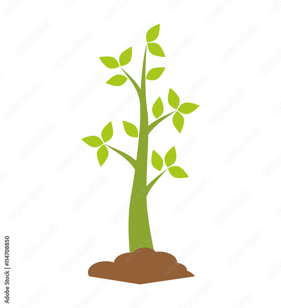 Fototapeta premium Nature concept represented by green plant icon. isolated and flat illustration