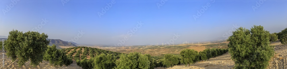Panorama of olive groves in a mountainous landscape, in front of a valley with a town, farmlands, wind farms and other mountains. Agrarian landscape