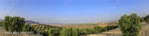 Panorama of olive groves in a mountainous landscape, in front of a valley with a town, farmlands, wind farms and other mountains. Agrarian landscape
