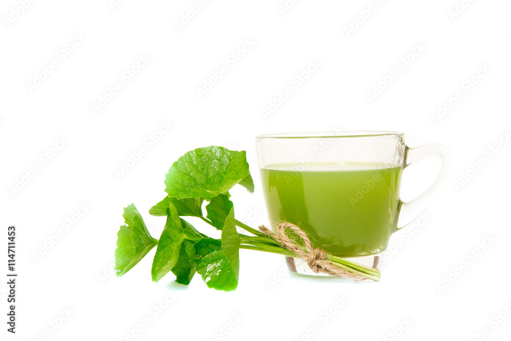Gotu kola's leafs drink ,gotu kola leafs on white background Gotu kola's leafs drink ,gotu kola leafs on white background