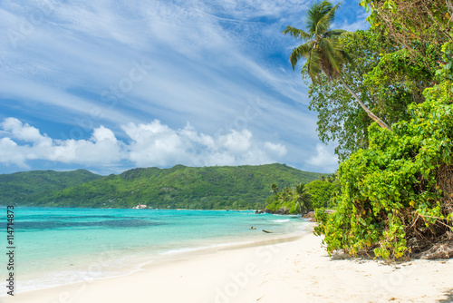 Fototapeta Naklejka Na Ścianę i Meble -  Tropical beach in Seychelles, Mahe