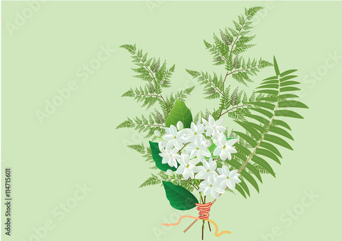 jasmine flowers bouquet with fern for object or background