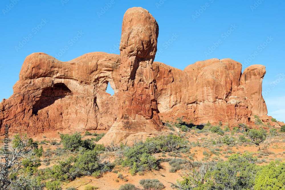 Fototapeta premium variety of geological formations in Arches National Park, Utah, USA