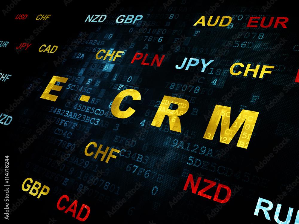 Business concept: E-CRM on Digital background Business concept: E-CRM on Digital background