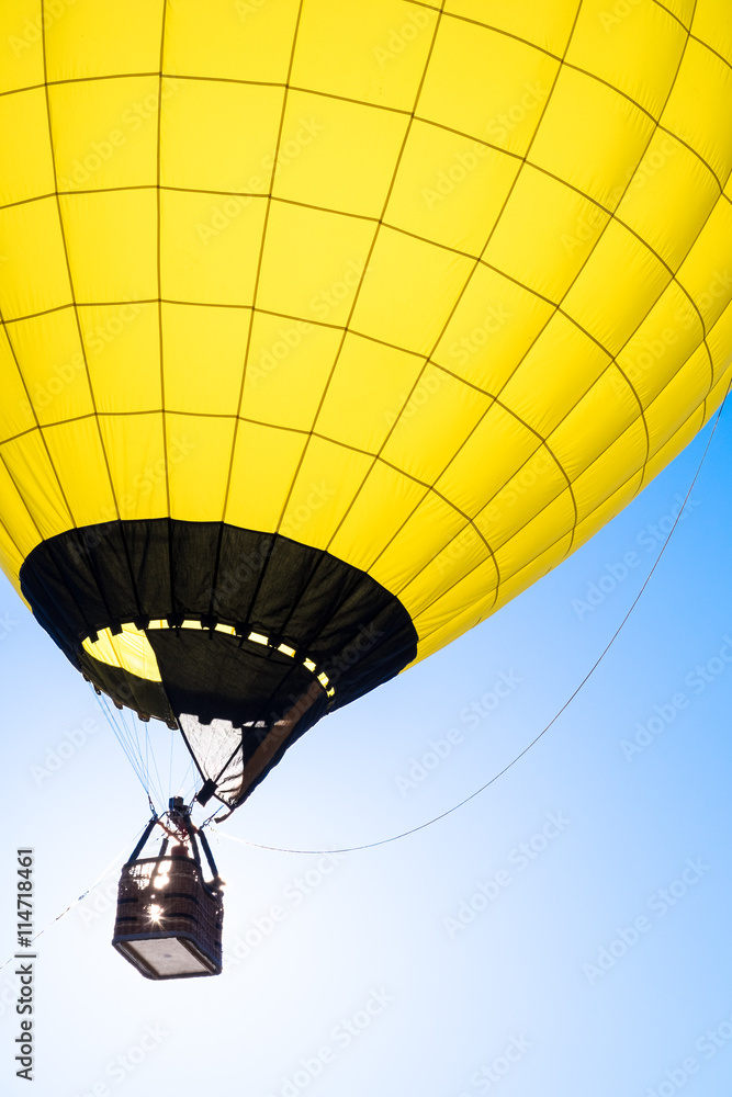Fototapeta premium hot air balloon