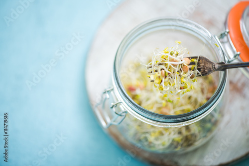 healthy eating fresh sprouts