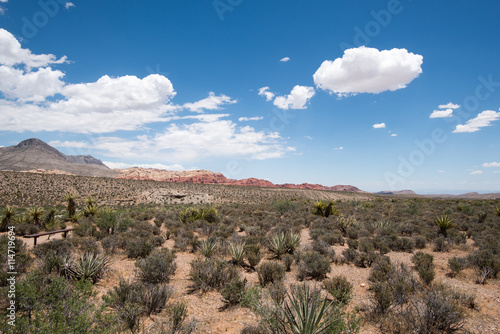Photography Red Rock Canyon National Conservation Area
