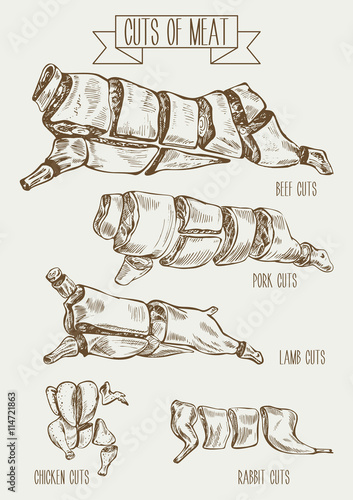 Hand drawn vector illustration cuts of meat for restaurant, organic product shop or market. Beef, lamb, pork, rabbit and chicken cutting scheme in vintage sketch style.