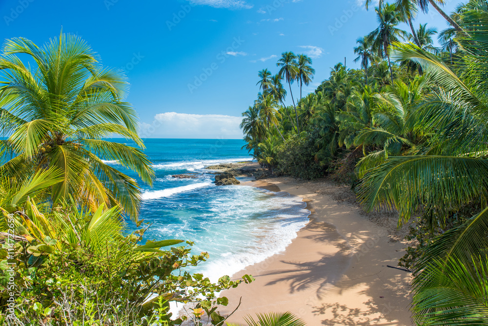 Obraz premium Dzika karaibska plaża Manzanillo w Puerto Viejo, Kostaryka
