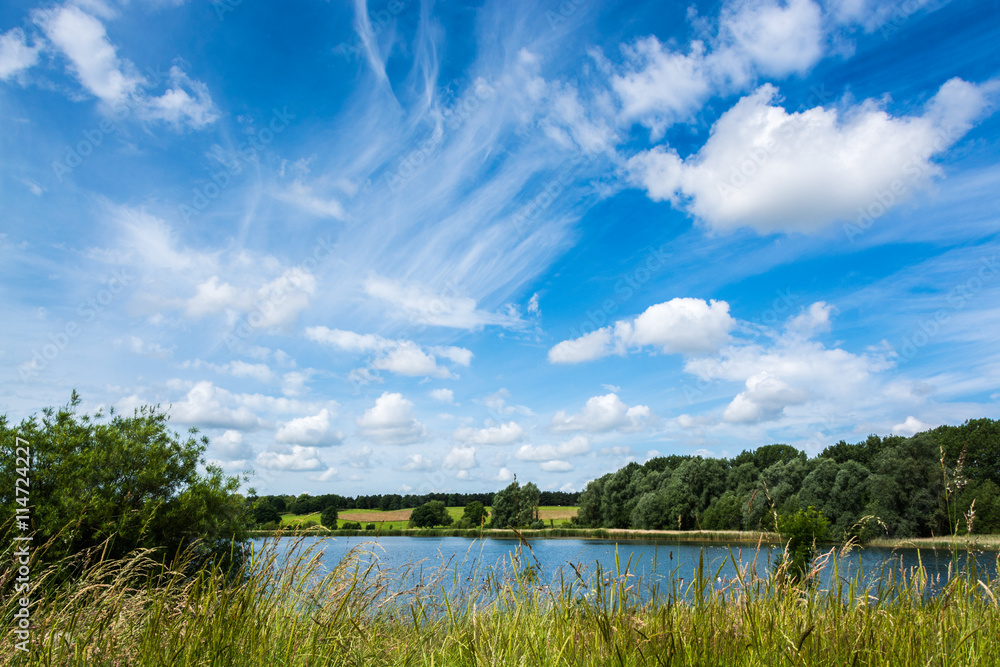 Willen lake and grasses on lakeside under blue cloudy sky in summer at Milton Keynes, England