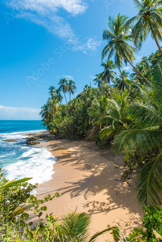 Fototapeta Naklejka Na Ścianę i Meble -  Wild caribbean beach of Manzanillo at Puerto Viejo, Costa Rica