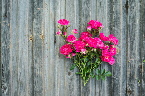 Garden roses on weathered wooden background. Valentines day backcground