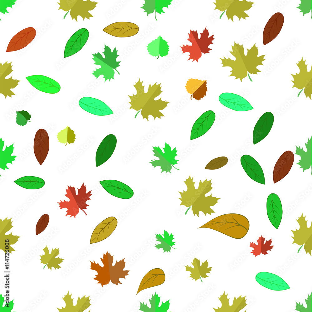 Autumn Leaves  Isolated on White Background. Seamless Different Leaves Pattern