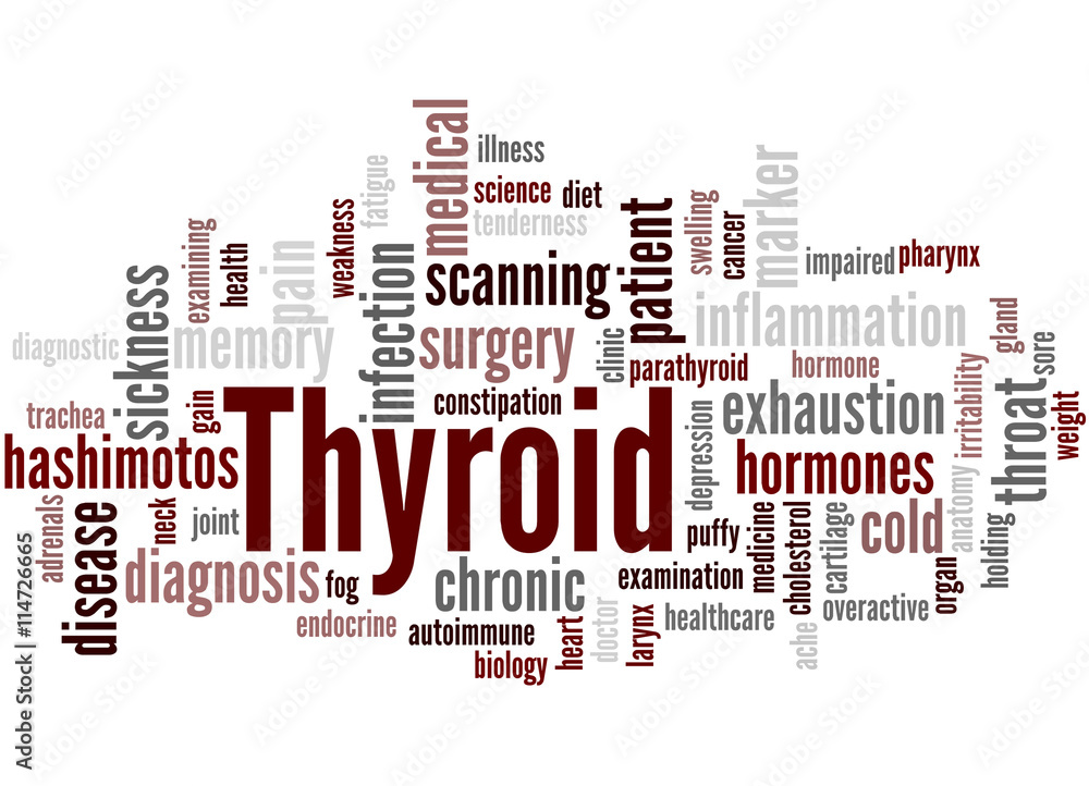 Obraz premium Thyroid, word cloud concept 4