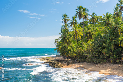 Wild caribbean beach of Manzanillo at Puerto Viejo, Costa Rica