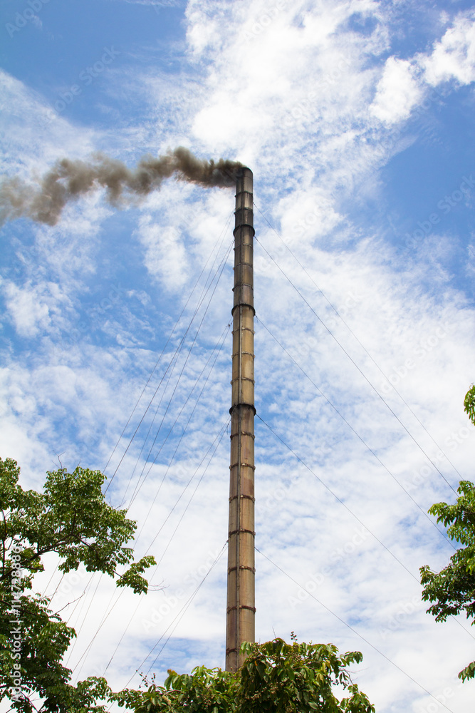 Fototapeta premium Smoke